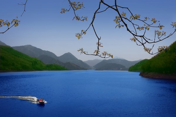 花开青龙湾 许东升.JPG