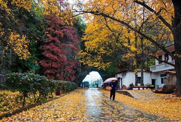 3A景区 山门洞 (1).jpg