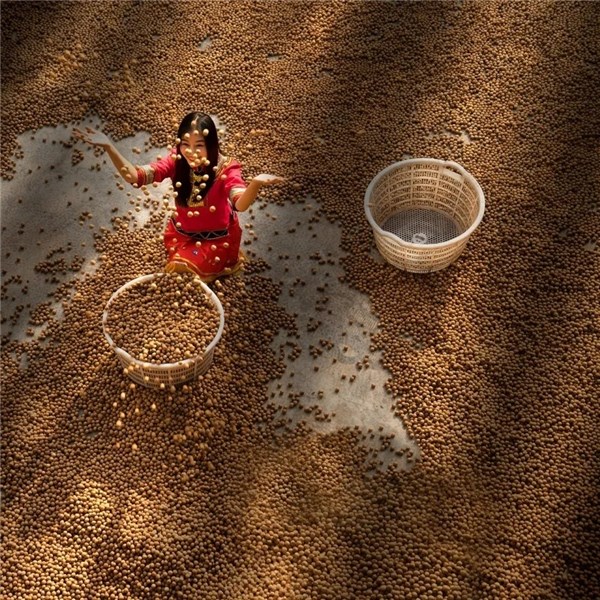 秋游宁国，这份特色伴手礼别错过