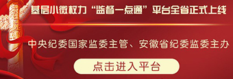 基层小微权力“监督一点通”平台